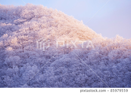 仲冬的赤城山被晨光照亮 85979559