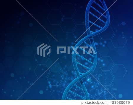 Gene (DNA) Gene (DNA) 85980079