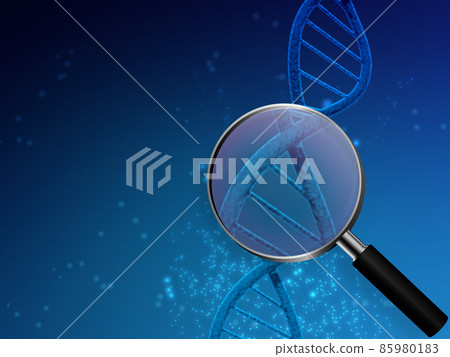 基因（DNA） 85980183