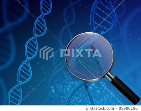 基因(DNA) 基因(DNA) 85980186