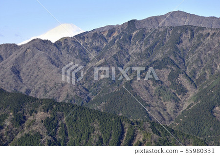 從丹澤小山北根水日之玉看富士山和表丹澤 從丹澤小山北根水日之玉看富士山和表丹澤 85980331
