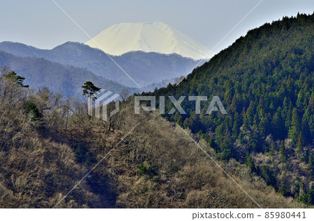 Doshisankai的大丸，從Ozashiki的松樹遠眺富士山 85980441