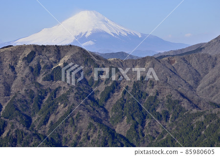 從丹澤大山北脊看到的富士山和表脊山脊 從丹澤大山北脊看到的富士山和表脊山脊 85980605