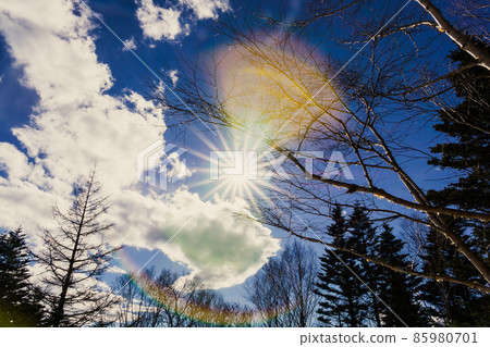 美麗的冬天天空，藍天，南阿爾卑斯山 85980701