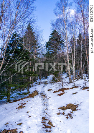 冬山步道（鳳凰三山） 85980702