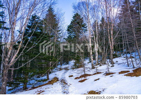 冬山步道（鳳凰三山） 85980703