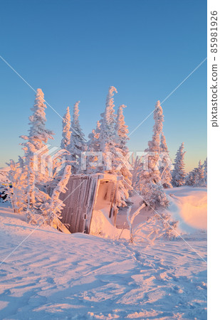 Winter landscape in Sheregesh ski resort in Russia, located in Mountain Shoriya, Siberia. Snow-covered fir trees on the background of mountains. 85981926