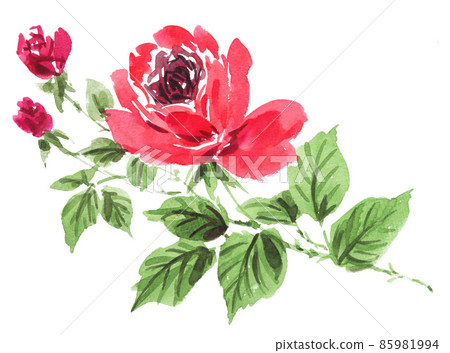 rose, roses, watercolour 85981994