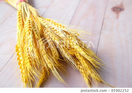 detail shot of wheat spikelets on table detail shot of wheat spikelets on table 85982252