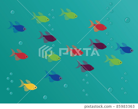 Different colours tetra glofish school vector illustration Different colours tetra glofish school vector illustration 85983363