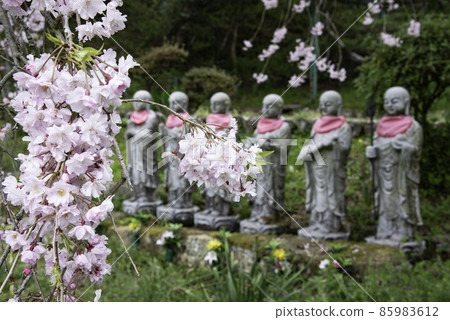 Sakura and Rokujizo "Temporary Peace" 85983612
