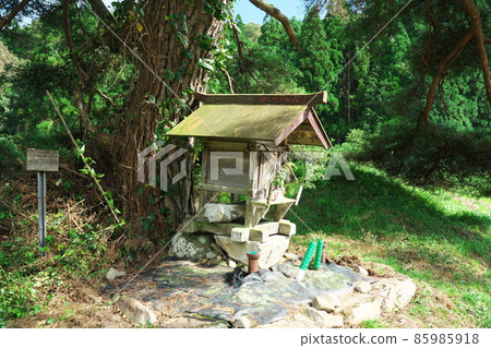 Shrine at the base of the Inada family's red pine 1 Shinjo Village, Maniwa District, Okayama Prefecture Shrine at the base of the Inada family's red pine 1 Shinjo Village, Maniwa District, Okayama Prefecture 85985918