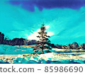 Fir trees in the snow field in the sunlight 85986690
