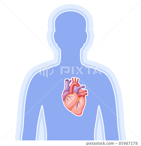Illustration with heart internal organ. Human body anatomy. Health care and medical image. Illustration with heart internal organ. Human body anatomy. Health care and medical image. 85987178