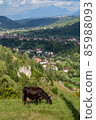 Brown cow eating grass. Mountains and village in the background. 85988093