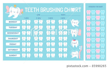 Teeth brushing chart calendar for kids with cartoon character. Cute tooth fairy, brush and paste. Children dental care vector infographic Teeth brushing chart calendar for kids with cartoon character. Cute tooth fairy, brush and paste. Children dental care vector infographic 85990265