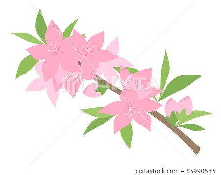 桃花插圖_枝 桃花插圖_枝 85990535