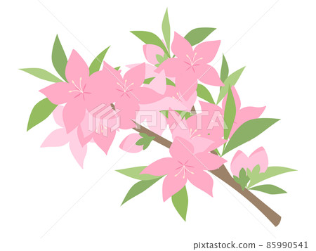 桃花插圖_枝 85990541