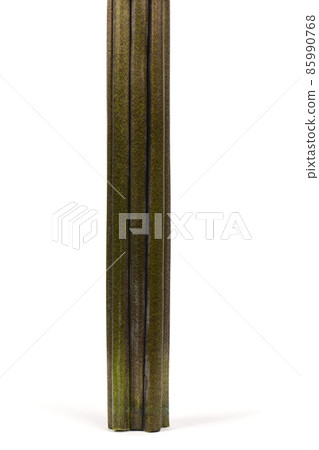 Plant stem with beautiful texture. High resolution photo. 85990768