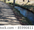 Stream and walking path 85990811