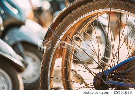 Goa, India. Close Up Of Bike Wheel Of Bicycle On Street. Goa, India. Close Up Of Bike Wheel Of Bicycle On Street Goa, India. Close Up Of Bike Wheel Of Bicycle On Street. Goa, India. Close Up Of Bike Wheel Of Bicycle On Street 85991689