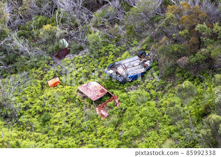 Photograph of old abandoned cars laying in a forest 85992338