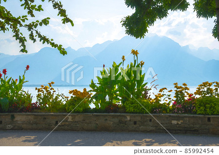 Watercolor drawing of View of mountains Alps and Flowers blooming in promenade of Lake Leman Lake Geneva in Montreux Watercolor drawing of View of mountains Alps and Flowers blooming in promenade of Lake Leman Lake Geneva in Montreux 85992454