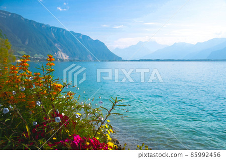 Watercolor drawing of View of mountains Alps and Flowers blooming in promenade embankment of Lake Leman Lake Geneva in Montreux Watercolor drawing of View of mountains Alps and Flowers blooming in promenade embankment of Lake Leman Lake Geneva in Montreux 85992456