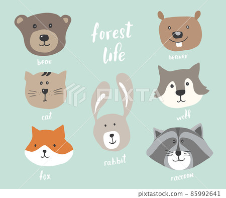 Cute Animal heads. Cartoon forest wildlife animals collection, fox, wolf, bear, beaver, raccoon, rabbit and wild cat. Vector illustration 85992641