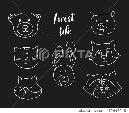Cute Animal heads. Cartoon forest wildlife animals collection, fox, wolf, bear, beaver, raccoon, rabbit and wild cat. Vector illustration 85992648