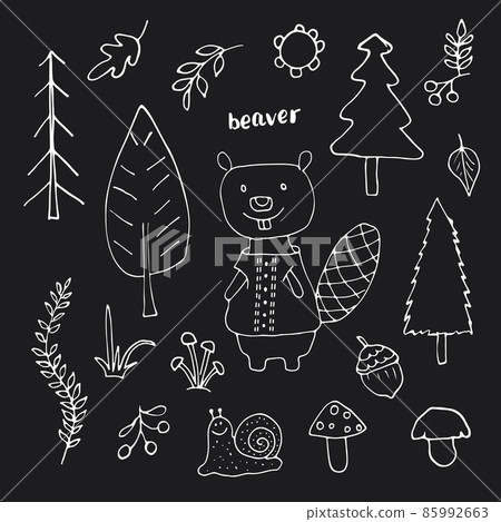 Cute Beaver in forest. Cartoon Animal in Woodland with trees and plants. Vector illustration 85992663