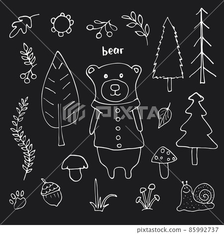 Cute Bear in forest. Cartoon Animal in Woodland with trees and plants. Vector illustration 85992737