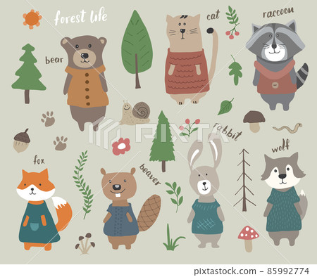 Cute Animals in clothes. Cartoon forest wildlife animals collection, fox, wolf, bear, beaver, raccoon, rabbit and wild cat. Vector illustration 85992774
