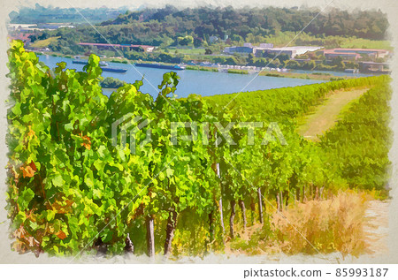 Watercolor drawing of Vineyards green fields landscape with grapevine rows, grape trellis and road on hills in river Rhine Valley Watercolor drawing of Vineyards green fields landscape with grapevine rows, grape trellis and road on hills in river Rhine Valley 85993187