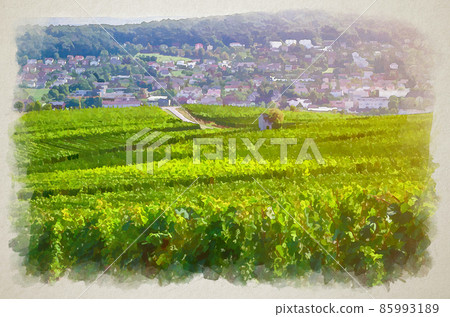 Watercolor drawing of Vineyards green fields landscape with grapevine rows on hills in Rhine Gorge river Rhine Valley, Rheingau wine region 85993189
