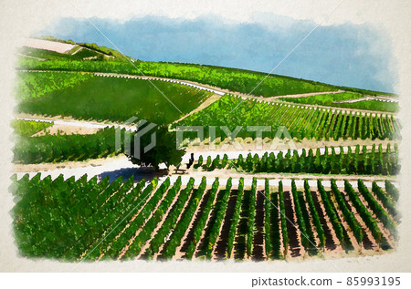 Watercolor drawing of Vineyards green fields landscape with grapevine rows and tree on hills, river Rhine Valley, Rheingau wine region 85993195
