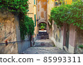 Watercolor drawing of Cobblestone staircase with stairs, green trees, bushes and flowers, street lights between stone walls in Brescia city 85993311