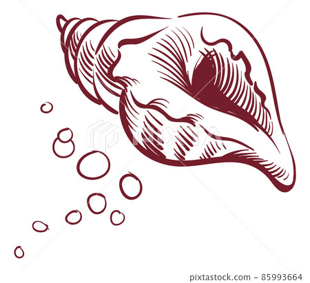 Seashell sketch. Ink line style mollusk conch. Shellfish symbol Seashell sketch. Ink line style mollusk conch. Shellfish symbol 85993664