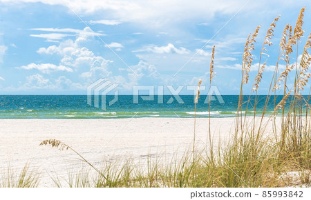 Pink umbrella 85993842