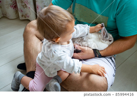 infant baby girl playing with decorative rabbit in father s hands infant baby girl playing with decorative rabbit in father s hands 85994416