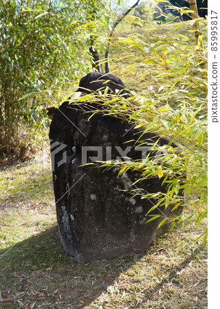 竹林園石竹林公園 竹林園石竹林公園 85995817