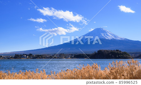 Clear sky and view from Mt. Fuji / Oishi Park Clear sky and view from Mt. Fuji / Oishi Park 85996525