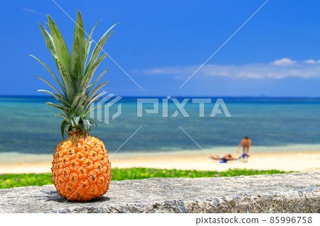 Okinawa tropical image pineapple 85996758