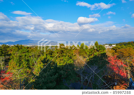 View from the top of the Sanmon Tower at Nanzenji Temple in late autumn View from the top of the Sanmon Tower at Nanzenji Temple in late autumn 85997288