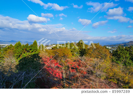 深秋從南禪寺山門塔頂眺望 85997289