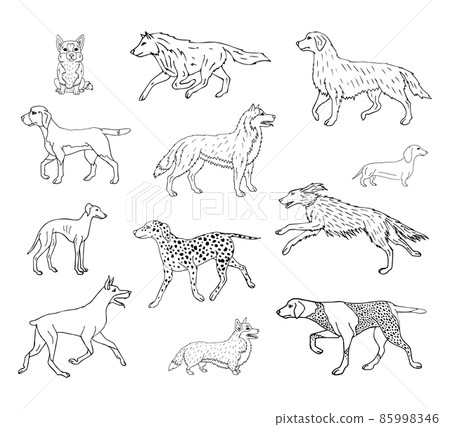 Vector set bundle of hand drawn doodle sketch dog - Stock Illustration ...