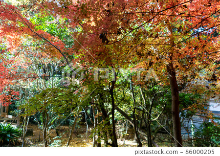 菅山大法寺 菅山大法寺 86000205