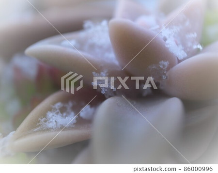 Crystal of snow Crystal of snow 86000996