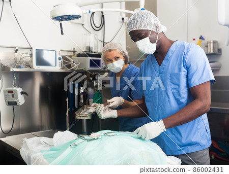 Veterinarians doing operation for dog in a veterinary clinic Veterinarians doing operation for dog in a veterinary clinic 86002431