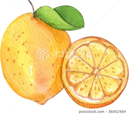Kombucha concept.. Cartoon tea mushroom drink. Various bottles with ginger and sugar.watercolor cool summer vegan carbonated beverage collection Kombucha concept.. Cartoon tea mushroom drink. Various bottles with ginger and sugar.watercolor cool summer vegan carbonated beverage collection 86002984